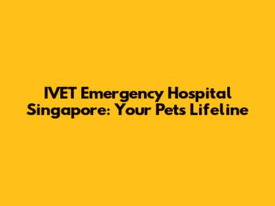 IVET Emergency Hospital Singapore: Your Pet's Lifeline