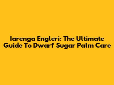 Iarenga Engleri: The Ultimate Guide To Dwarf Sugar Palm Care