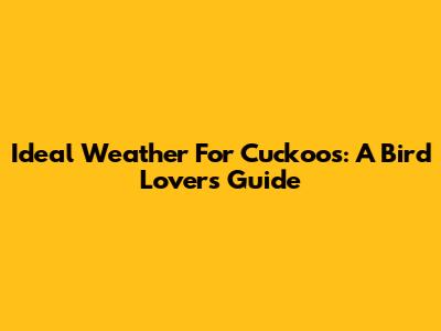 Ideal Weather For Cuckoos: A Bird Lover's Guide