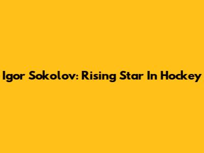 Igor Sokolov: Rising Star In Hockey