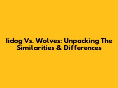Iidog Vs. Wolves: Unpacking The Similarities & Differences