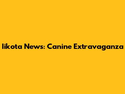 Iikota News: Canine Extravaganza