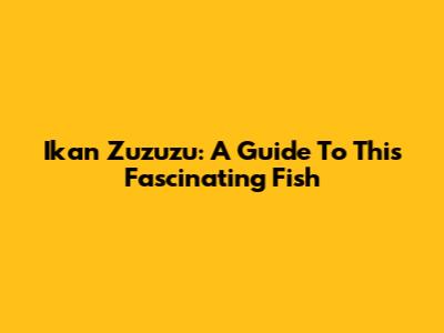 Ikan Zuzuzu: A Guide To This Fascinating Fish