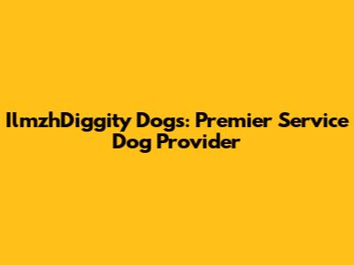IlmzhDiggity Dogs: Premier Service Dog Provider