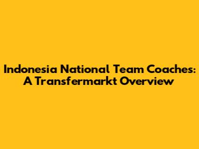 Indonesia National Team Coaches: A Transfermarkt Overview