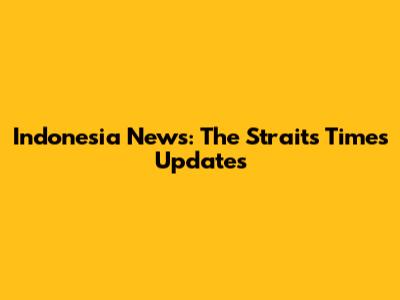 Indonesia News: The Straits Times Updates