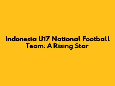 Indonesia U17 National Football Team: A Rising Star
