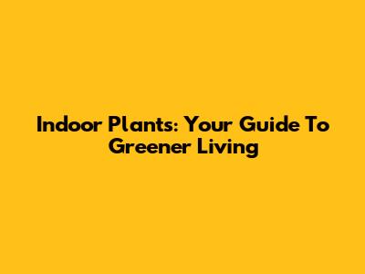 Indoor Plants: Your Guide To Greener Living