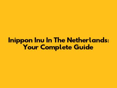 Inippon Inu In The Netherlands: Your Complete Guide