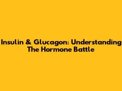 Insulin & Glucagon: Understanding The Hormone Battle