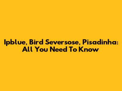 Ipblue, Bird Seversose, Pisadinha: All You Need To Know
