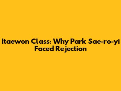 Itaewon Class: Why Park Sae-ro-yi Faced Rejection