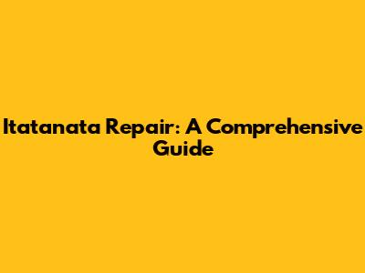 Itatanata Repair: A Comprehensive Guide