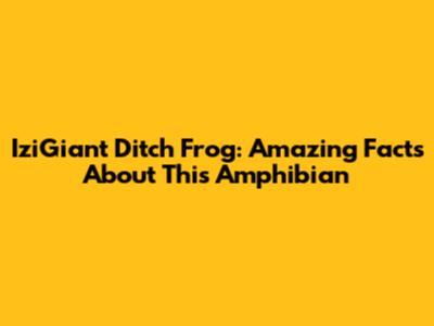 IziGiant Ditch Frog: Amazing Facts About This Amphibian