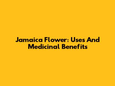 Jamaica Flower: Uses And Medicinal Benefits