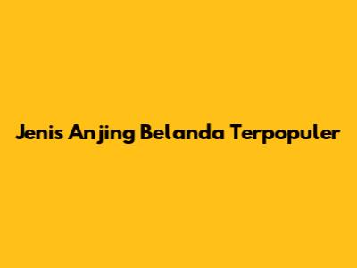 Jenis Anjing Belanda Terpopuler