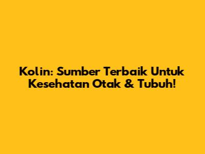 Kolin: Sumber Terbaik Untuk Kesehatan Otak & Tubuh!
