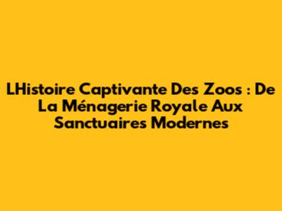 L'Histoire Captivante Des Zoos : De La Ménagerie Royale Aux Sanctuaires Modernes