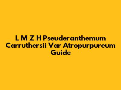 L M Z H Pseuderanthemum Carruthersii Var Atropurpureum Guide