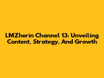 LMZherin Channel 13: Unveiling Content, Strategy, And Growth