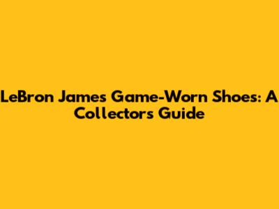 LeBron James Game-Worn Shoes: A Collector's Guide