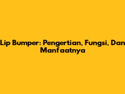Lip Bumper: Pengertian, Fungsi, Dan Manfaatnya