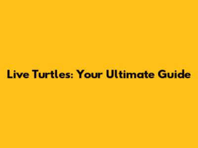 Live Turtles: Your Ultimate Guide