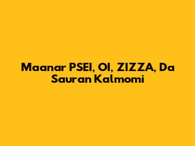 Ma'anar PSEI, OI, ZIZZA, Da Sauran Kalmomi