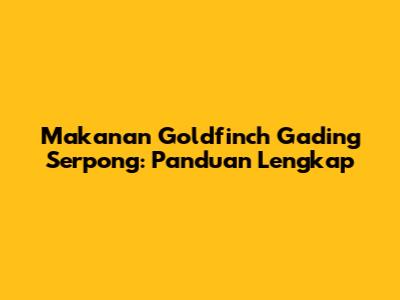 Makanan Goldfinch Gading Serpong: Panduan Lengkap