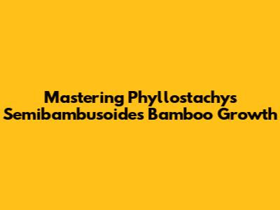 Mastering Phyllostachys Semibambusoides Bamboo Growth