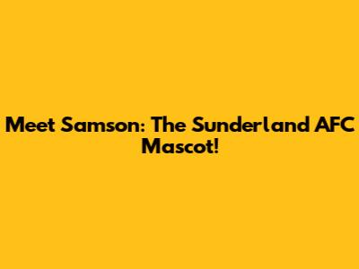 Meet Samson: The Sunderland AFC Mascot!