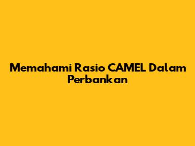 Memahami Rasio CAMEL Dalam Perbankan