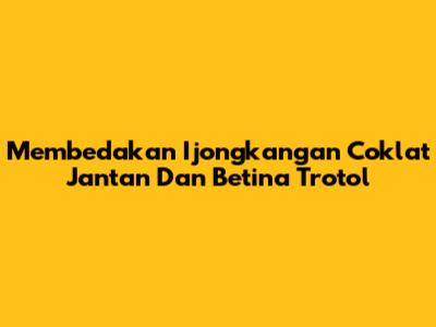 Membedakan Ijongkangan Coklat Jantan Dan Betina Trotol