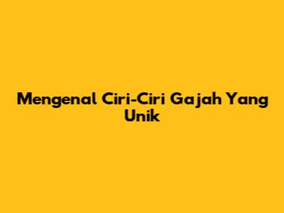 Mengenal Ciri-Ciri Gajah Yang Unik