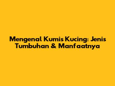 Mengenal Kumis Kucing: Jenis Tumbuhan & Manfaatnya
