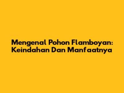 Mengenal Pohon Flamboyan: Keindahan Dan Manfaatnya