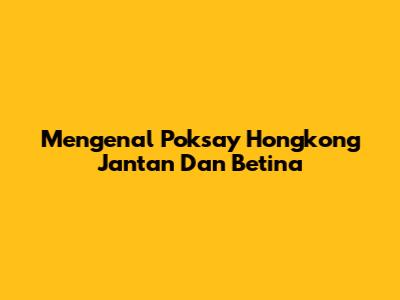 Mengenal Poksay Hongkong Jantan Dan Betina