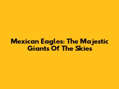 Mexican Eagles: The Majestic Giants Of The Skies