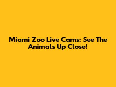 Miami Zoo Live Cams: See The Animals Up Close!