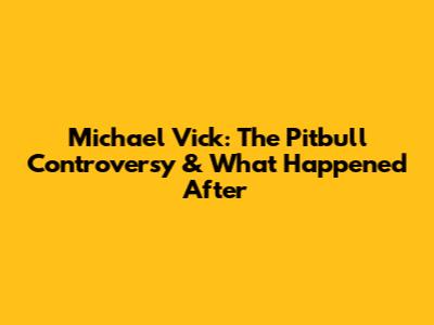 Michael Vick: The Pitbull Controversy & What Happened After