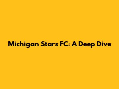 Michigan Stars FC: A Deep Dive