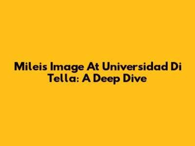 Milei's Image At Universidad Di Tella: A Deep Dive