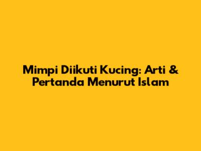 Mimpi Diikuti Kucing: Arti & Pertanda Menurut Islam