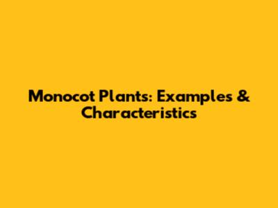 Monocot Plants: Examples & Characteristics