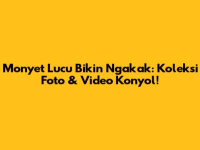 Monyet Lucu Bikin Ngakak: Koleksi Foto & Video Konyol!