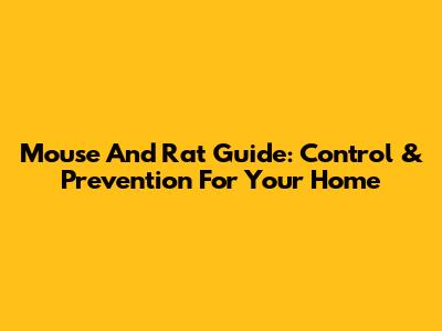 Mouse And Rat Guide: Control & Prevention For Your Home