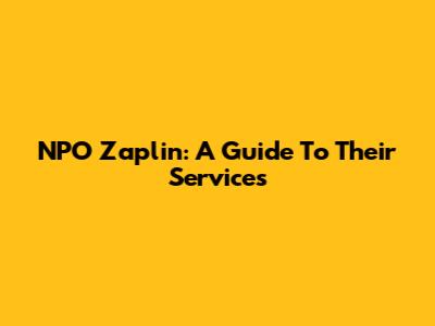 NPO Zaplin: A Guide To Their Services