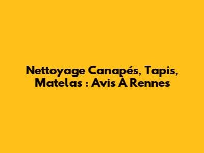 Nettoyage Canapés, Tapis, Matelas : Avis À Rennes