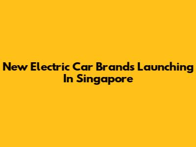 New Electric Car Brands Launching In Singapore
