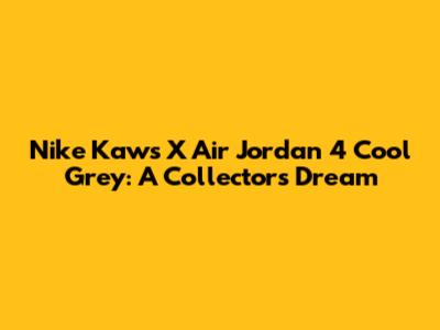 Nike Kaws X Air Jordan 4 Cool Grey: A Collector's Dream